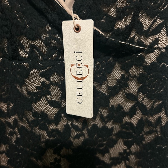Cellecci Black Lace Envy Dress - Picture 5 of 7